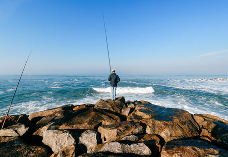 Calendário de Pesca – Portugal 2025