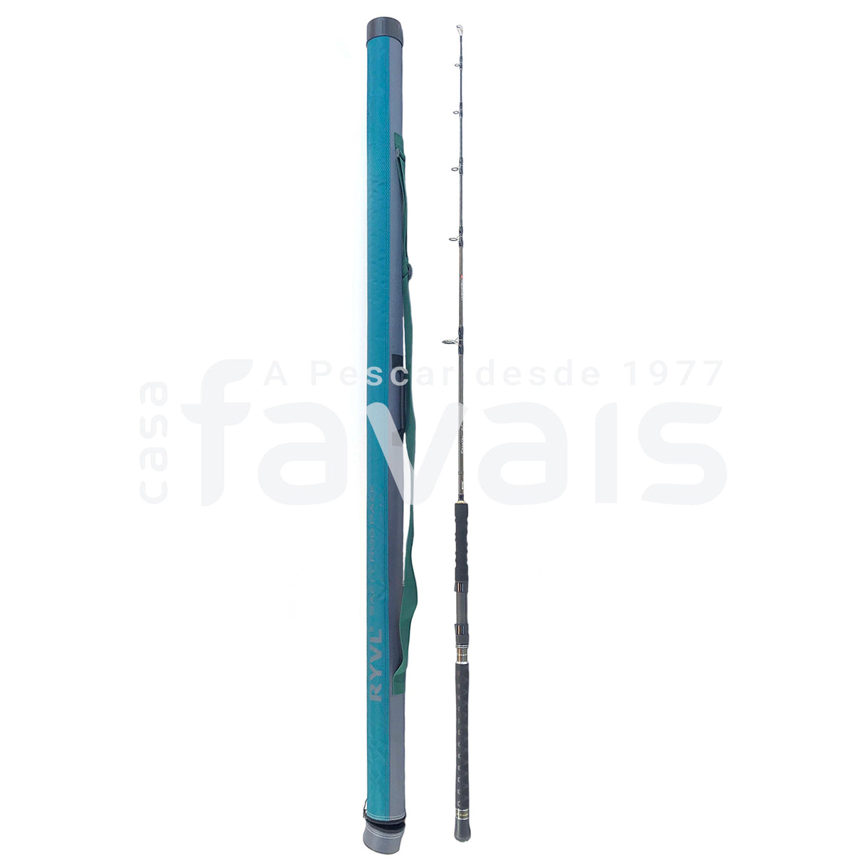 CAÑA SAMURAI-IV 1601H SPIN JIGGING