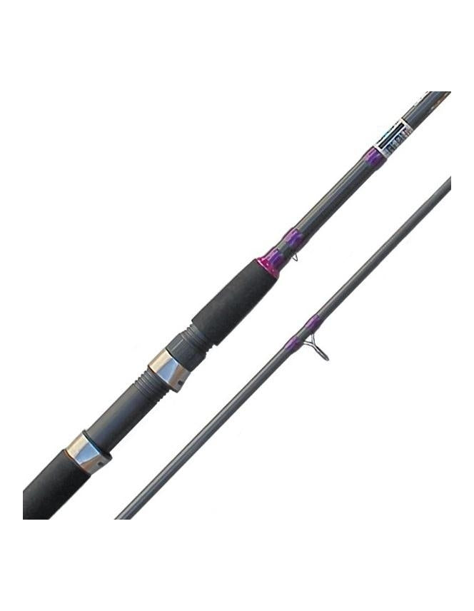 EXPLORER SEA BASS SPINNING ROD