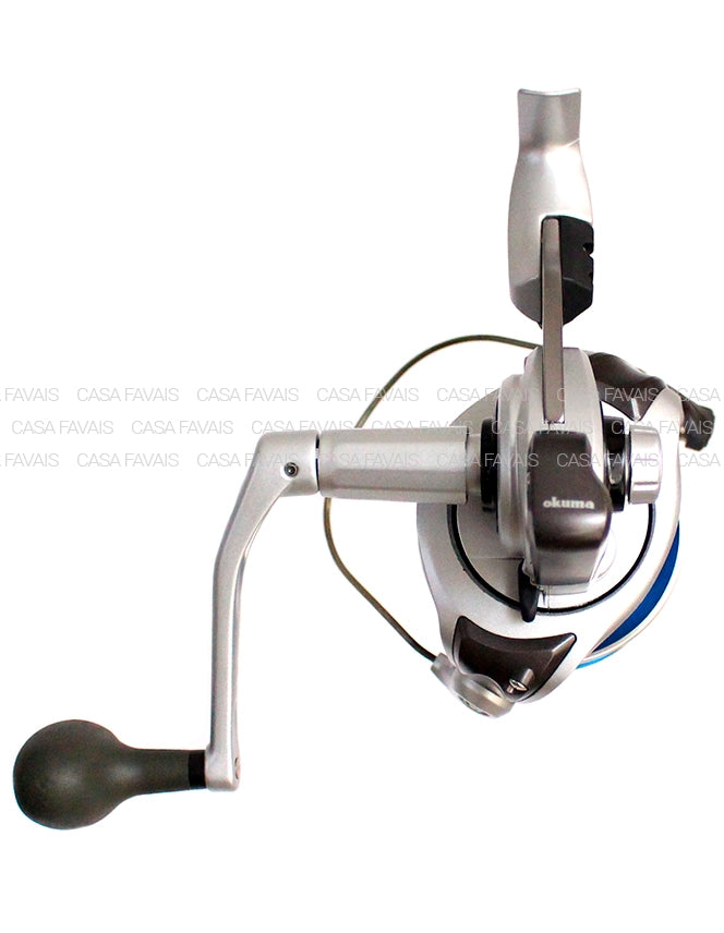 CARRETO OKUMA TRIO REX ARENA 60