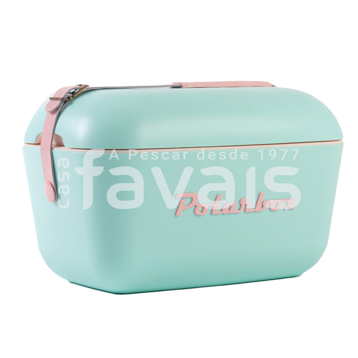 NEVERA POLARBOX VERDE AGUA - ALA ROSA