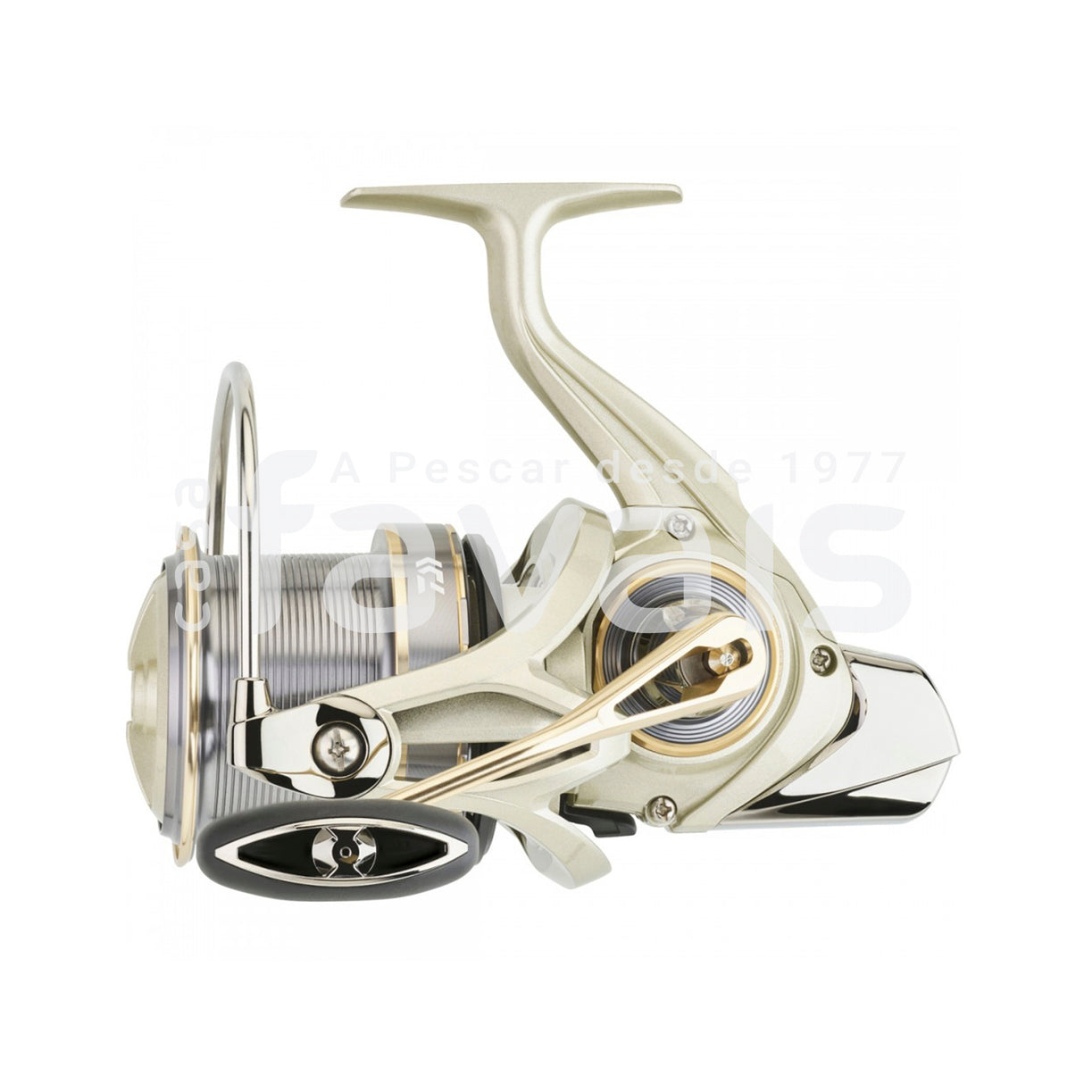 EMBLEM SURF LIGHT 22 45 CW QDP REEL