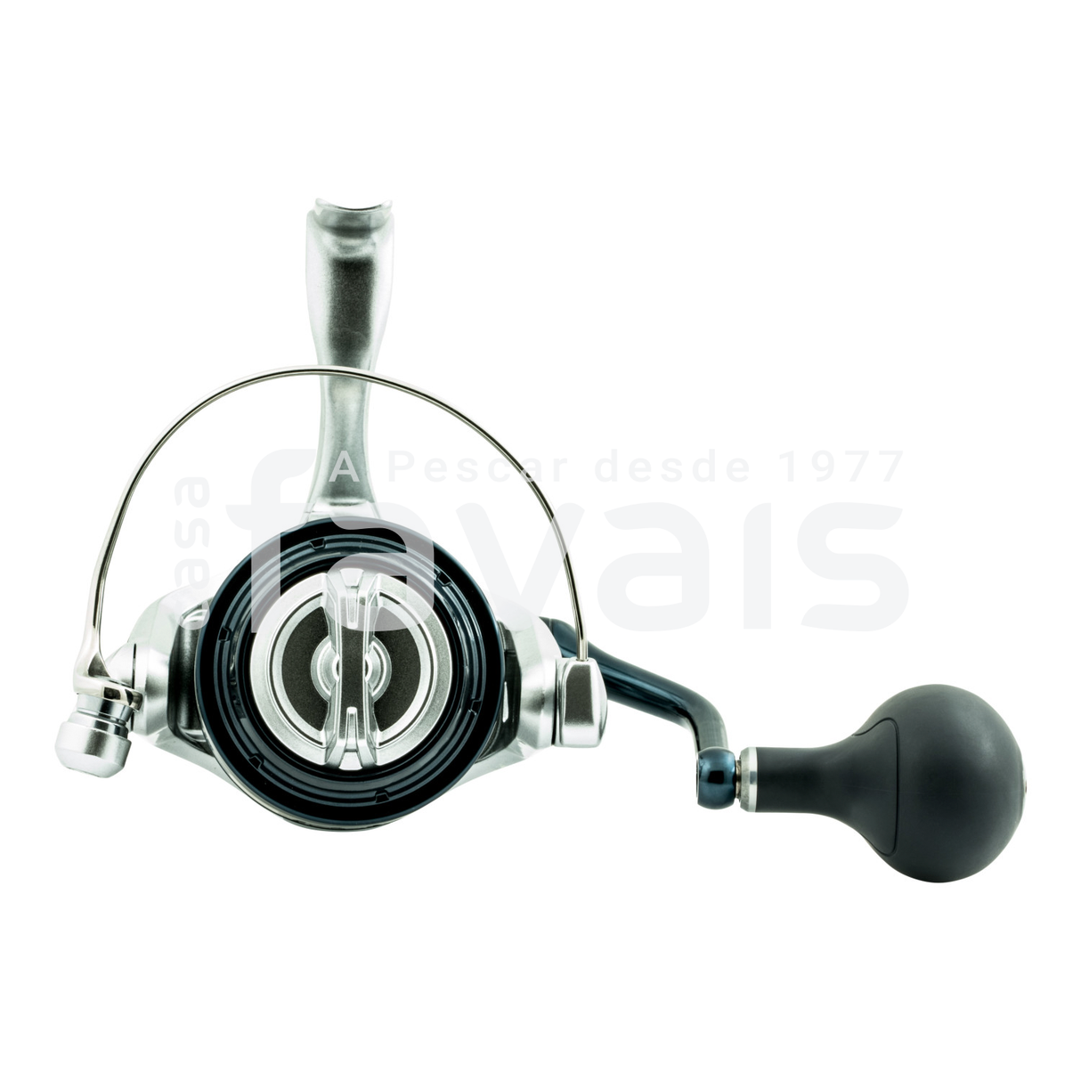 SARAGOSA REEL 8000 SW A HG