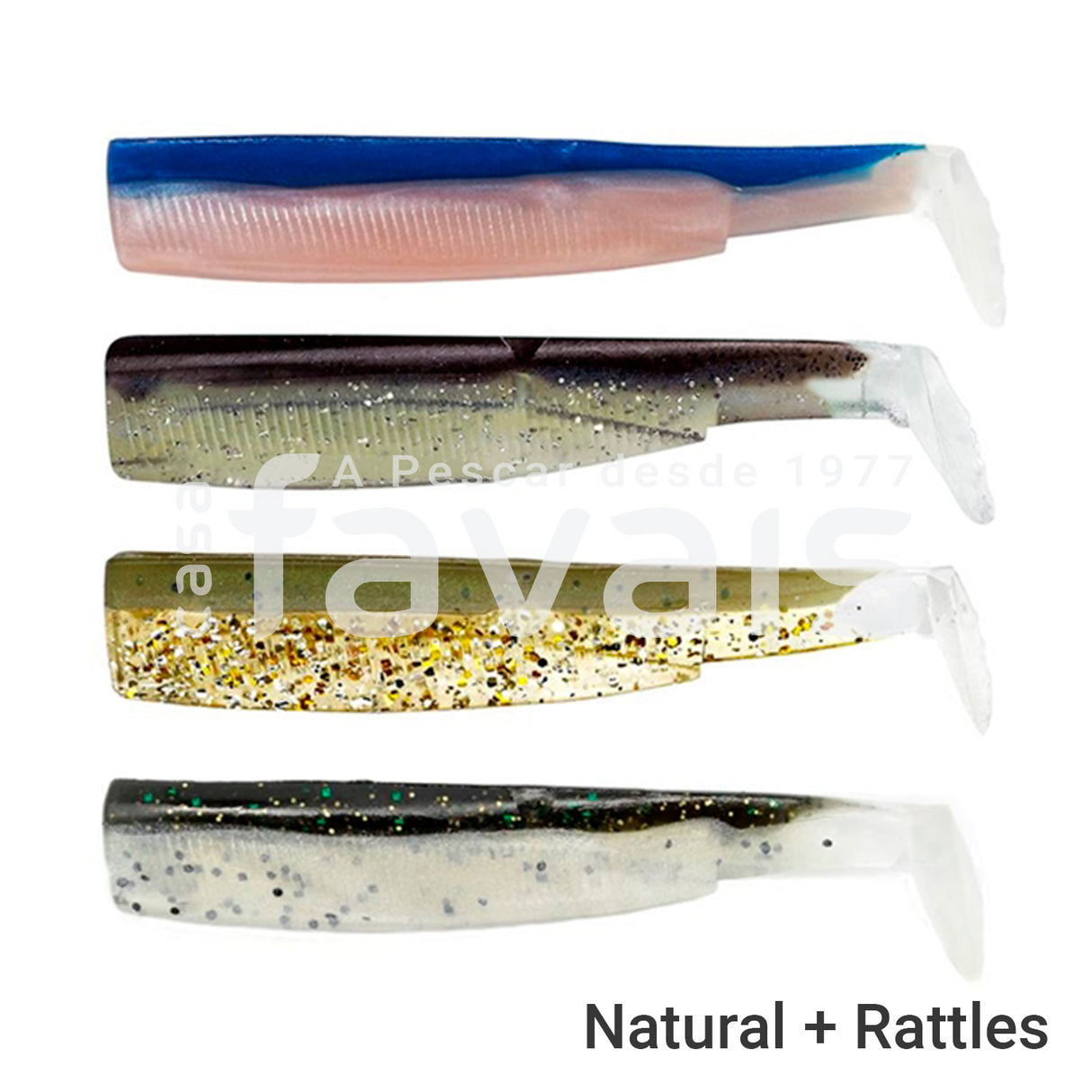 BLACK MINNOW NATURAL COLOR BOX