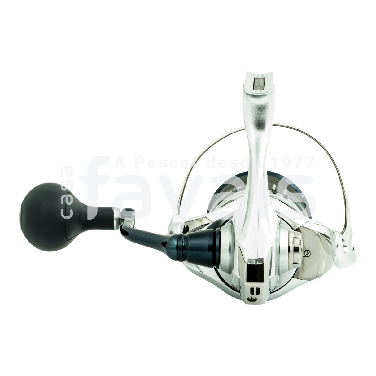 SARAGOSA REEL 8000 SW A HG