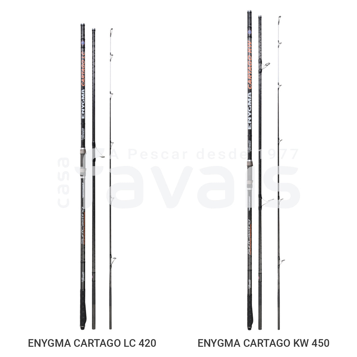 CANA ENYGMA CARTAGO