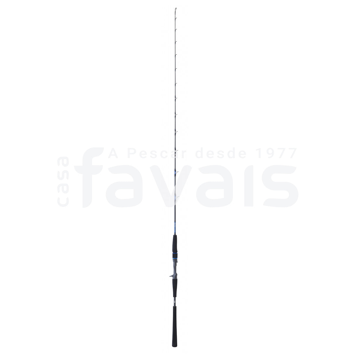 SALTIGA BAY JIGGING 64 XXHB ROD