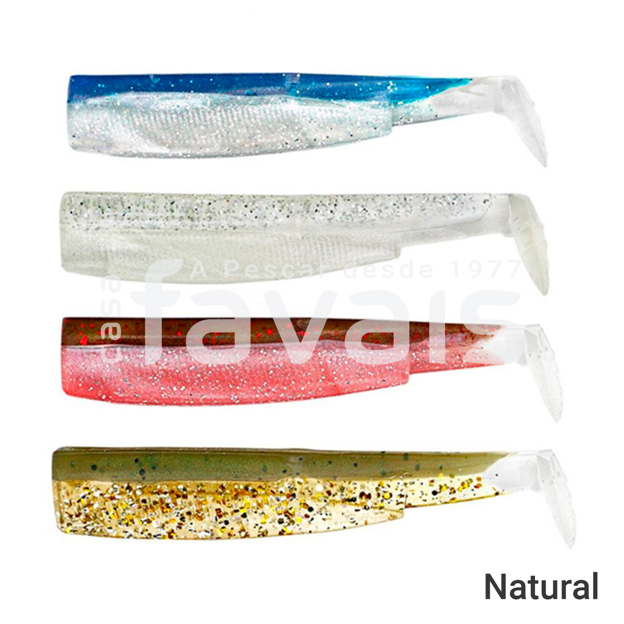 BLACK MINNOW NATURAL COLOR BOX