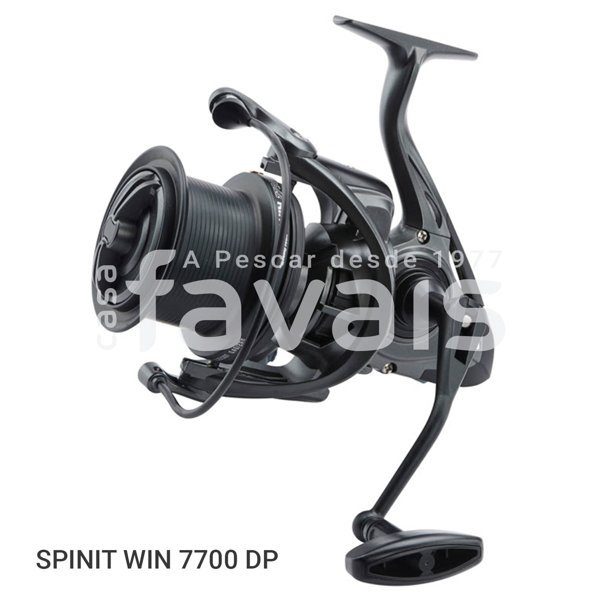 SPINIT WIN REEL