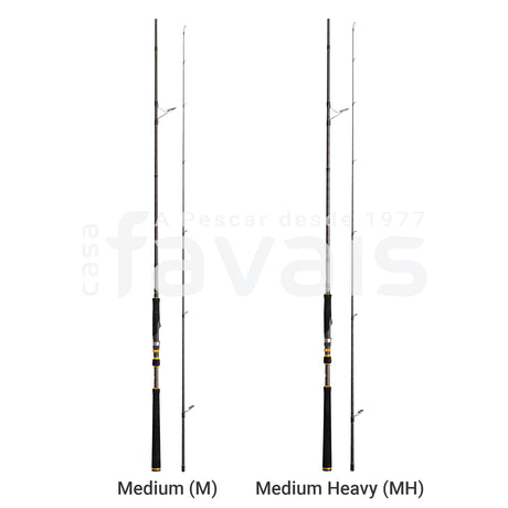 RAYCAST XBR SEA BASS ROD