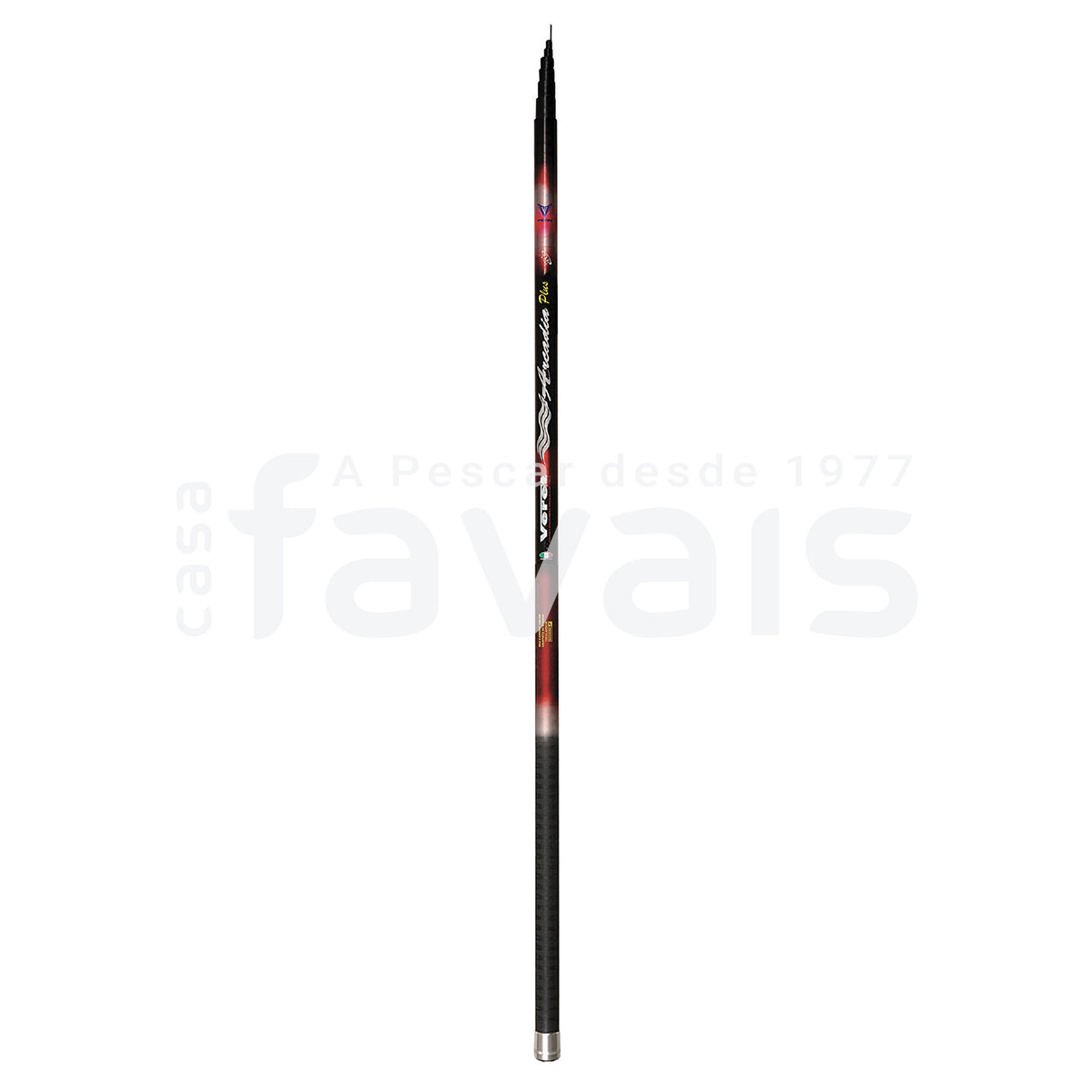 CANA ARCADIA PLUS