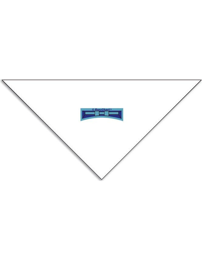 AUXILIARY TRIANGLE