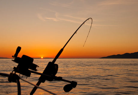 Pesca ao Spinning em Portugal: 4 Dicas para Pescar Robalos