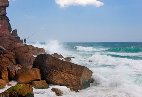 Pesca ao Sargo à Boia: Montagens, Iscos e Dicas