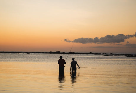 Como Escolher um Pesqueiro em Portugal?