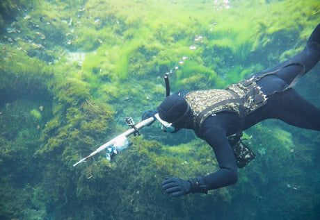 Guia Sobre a Caça Submarina em Portugal