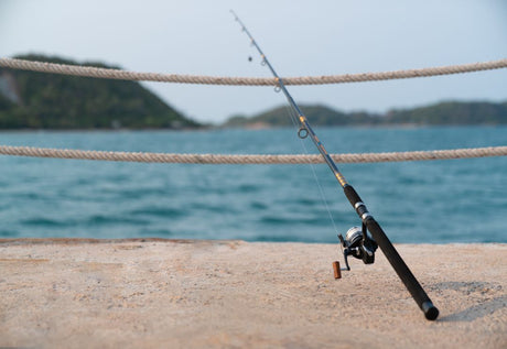 As Melhores Canas de Pesca: Top 3 Marcas de Confiança