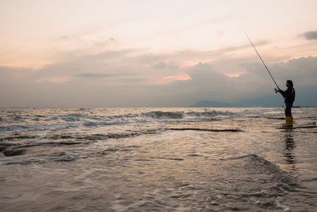 As Melhores Linhas de Pesca Recomendadas pela Casa Favais