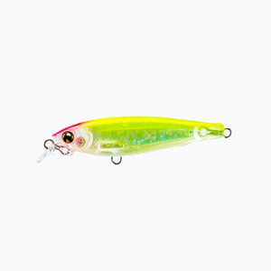 Eel