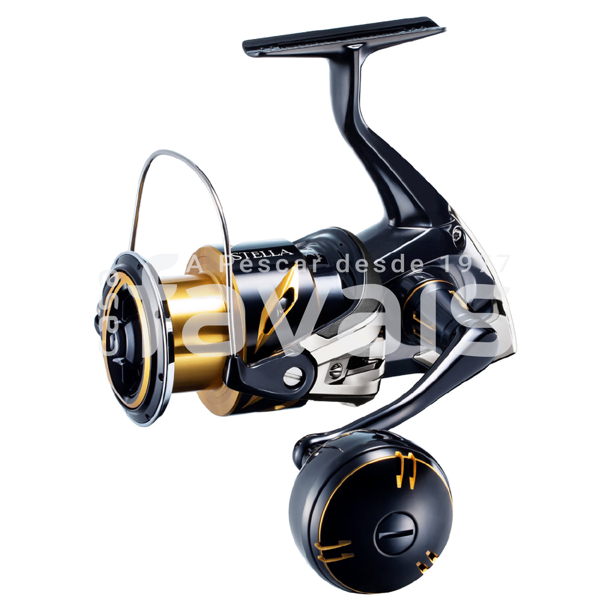 STELLA SW 2020 REEL