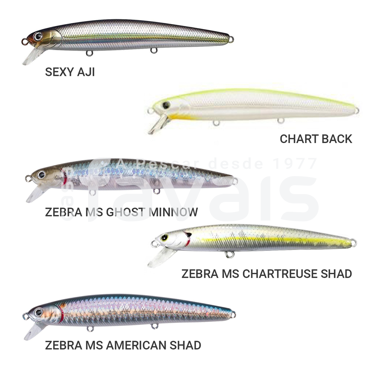 AMOSTRA FLASH MINNOW SW