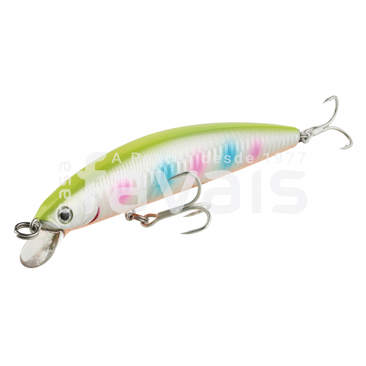 D'MINNOW Sinkers SW LURE