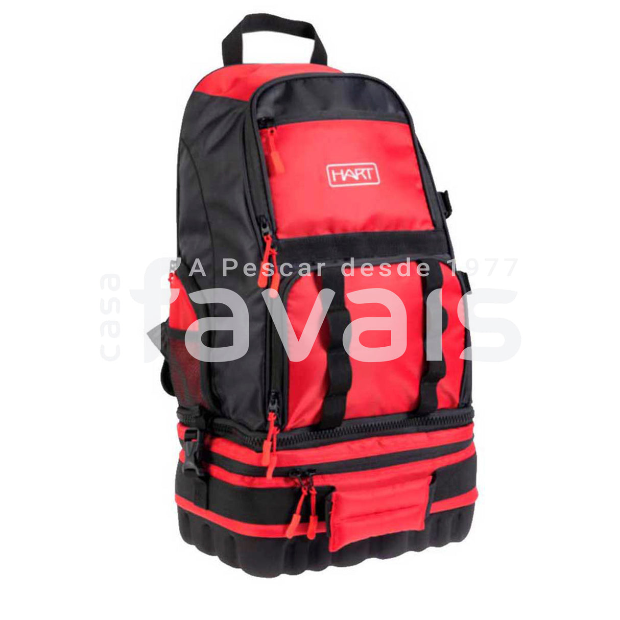 MOCHILA VIAJE 30L