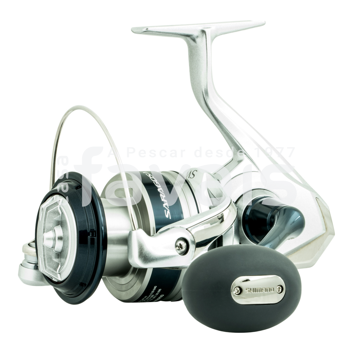 SARAGOSA 8000 SW A HG REEL