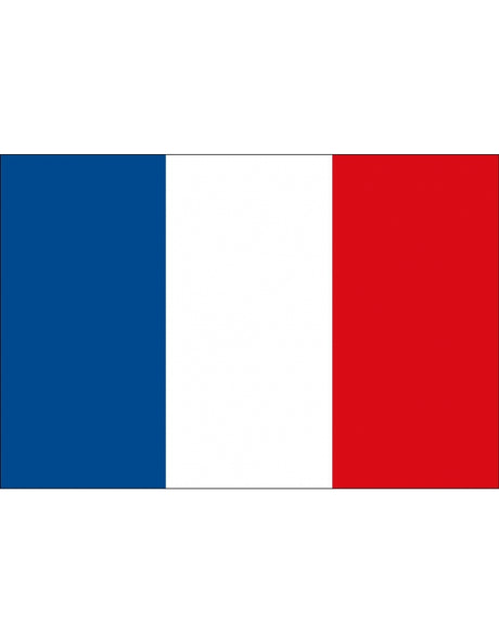 BANDEIRA FRANÇA