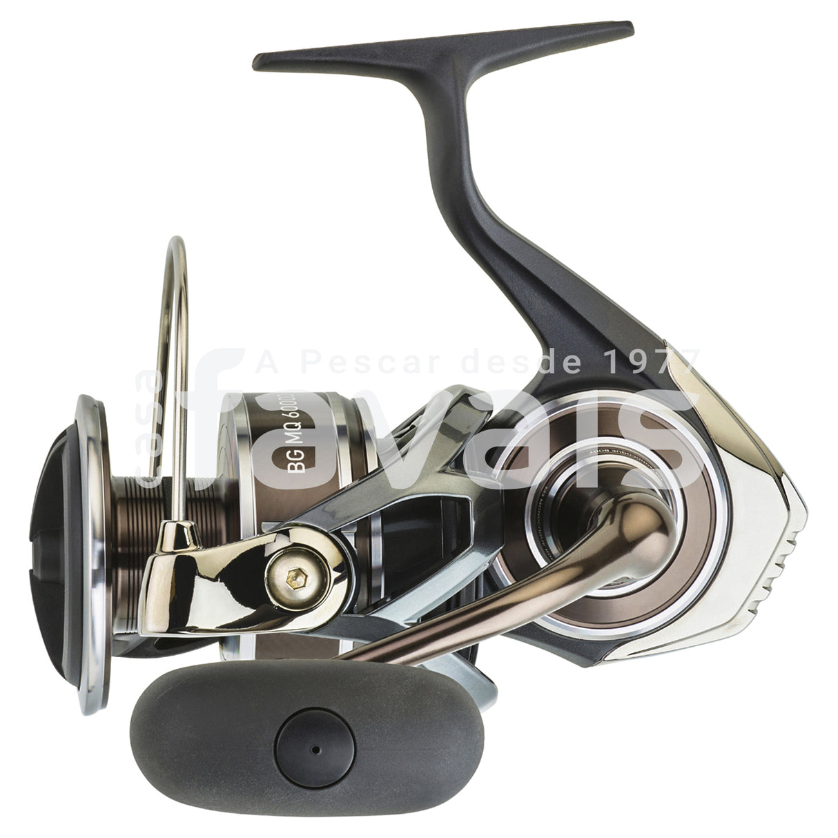 BG MQ 2020 REEL